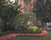Rancho California Landscaping