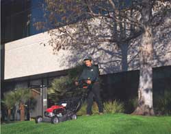 Landscape Maintenance