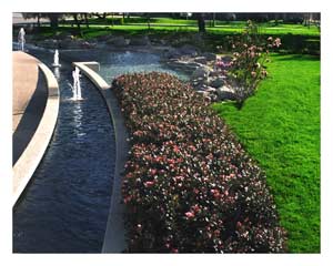 Green grass highlights your landscaping
