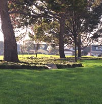 Rancho California Landscaping